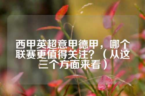 球迷