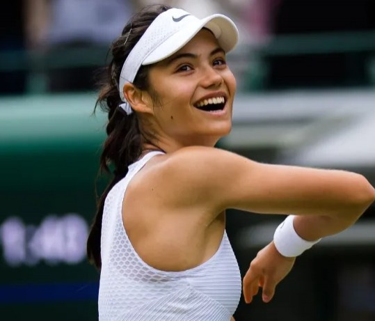 者提供了合 者提供了合