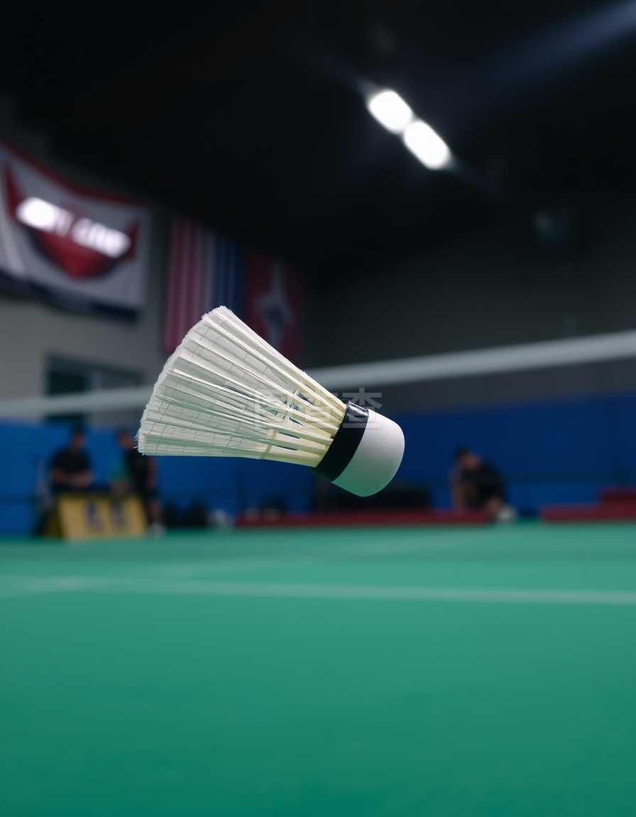 的速度链 的速度链